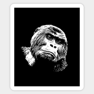 Gorilla portrait Sticker